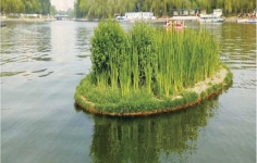 华淼复合纤维浮动湿地的特点有哪些？