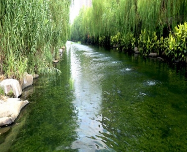 黑臭河道治理   效果显著
