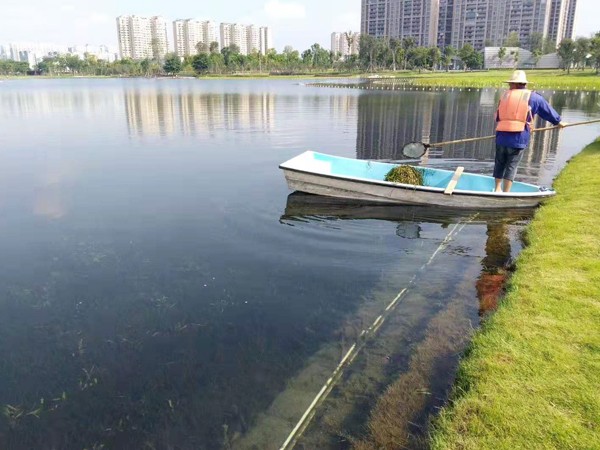 清水型生态系统构建技术