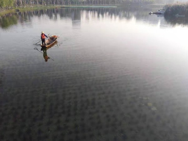 清水型生态系统构建技术