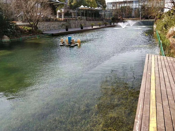 清水型生态系统构建技术