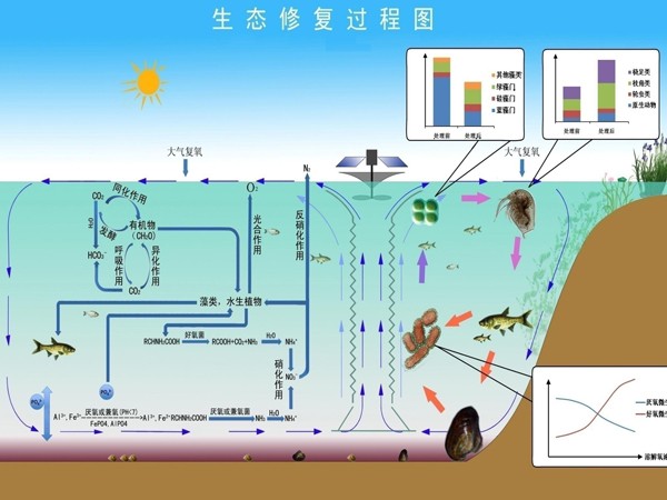 太阳能曝气机净水 厂家直销