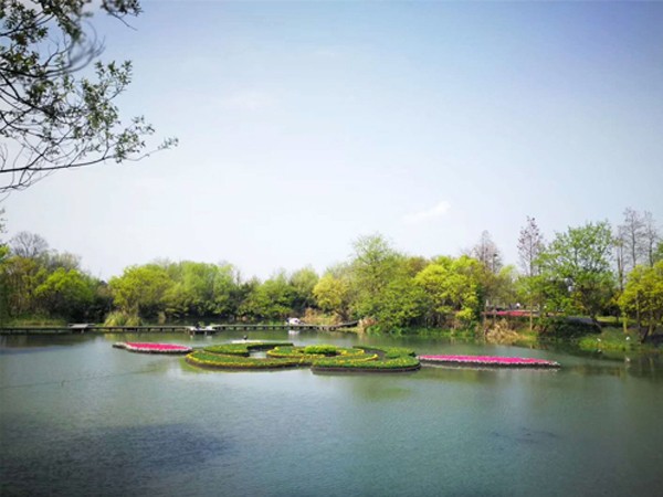 杭州西溪湿地水上景观花岛
