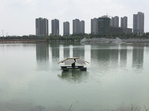 你知道如何选择浮动湿地吗？