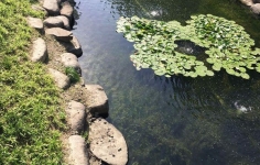 黑臭河道治理：城市黑臭河道产生的原因！
