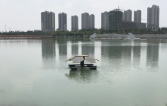 浮动湿地的发展历史是什么样的呢？
