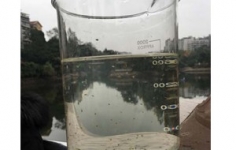 食藻虫生物技术吃出好水质 曲江南湖水更清澈了