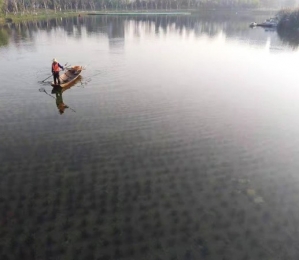 郑东新区龙子湖水下森林