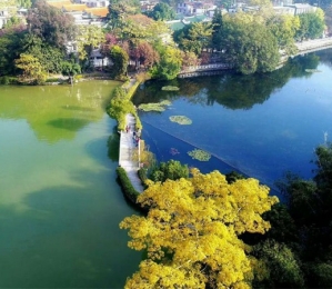 湖泊未治理区与治理区域对比