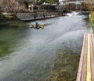 无锡河道生态治理