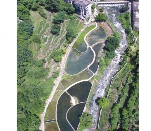 人工湿地建设（沉水植物+水生态原位修复矩阵）