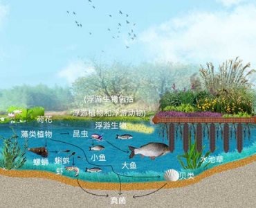 浮田型浮动湿地技术