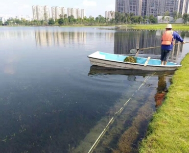 清水型生态系统构建技术