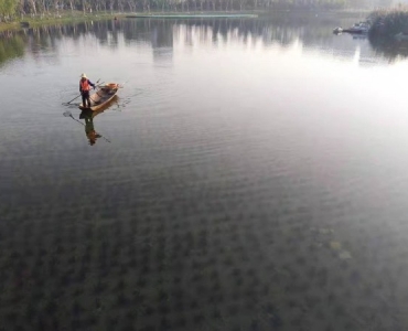 清水型生态系统构建技术