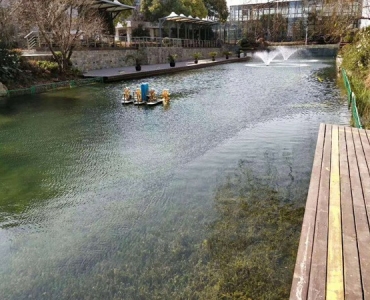 清水型生态系统构建技术
