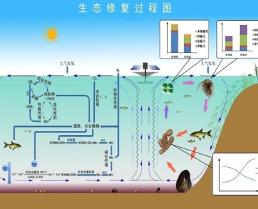 太阳能曝气机净水 厂家直销