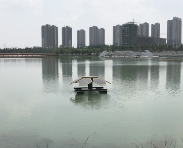 太阳能曝气机净水 品质保障